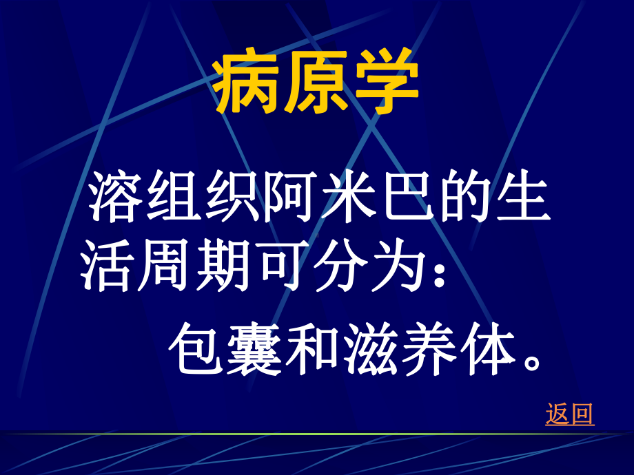 肠阿米巴病讲解课件.ppt_第3页