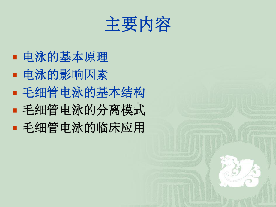 高效毛细管电泳仪课件.ppt_第2页