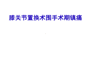 膝关节置换术围手术期镇痛课件.pptx