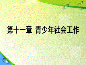 青少年社会工作概述课件.ppt