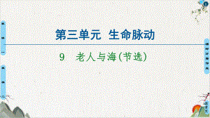 第3单元9-老人与海2020年秋统编版选择性必修上册课件.ppt