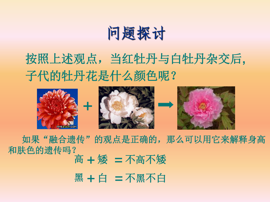 遗传因子的发现9-优秀课件.ppt_第2页