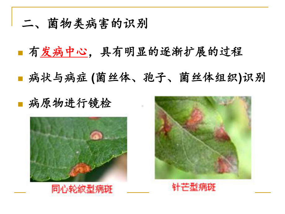 第十二讲植物病害的诊断与防治课件.ppt_第3页