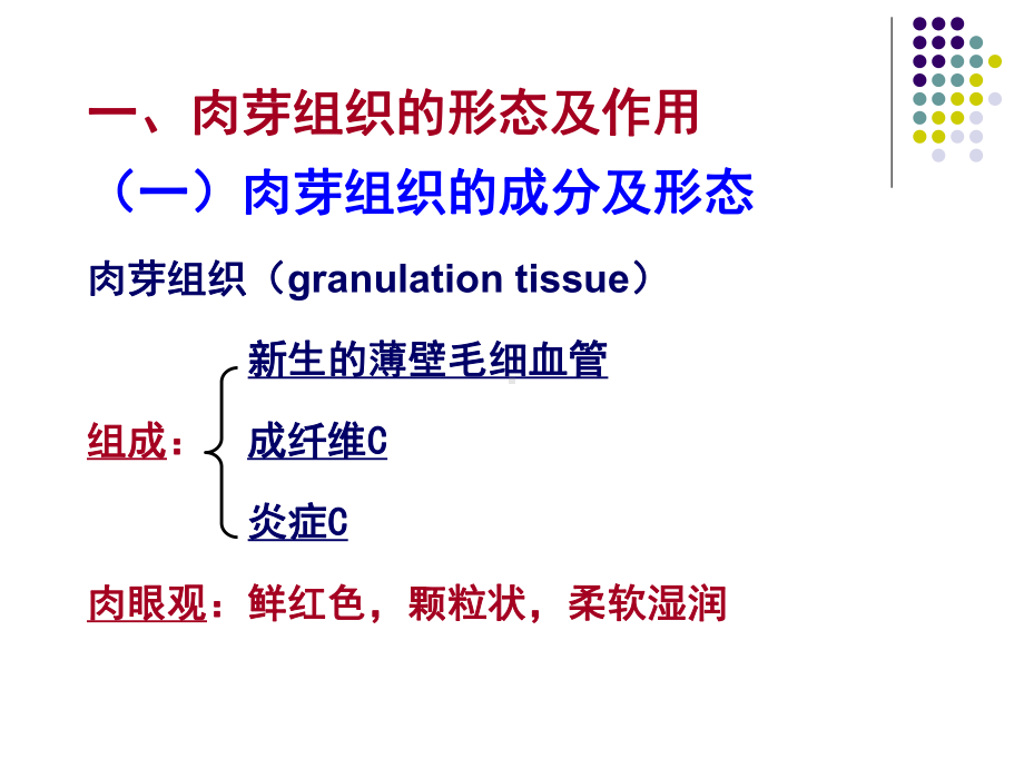 第二章-损伤的修复课件.ppt_第2页