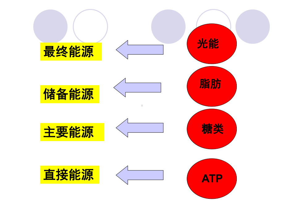 细胞呼吸39-优秀课件.ppt_第2页