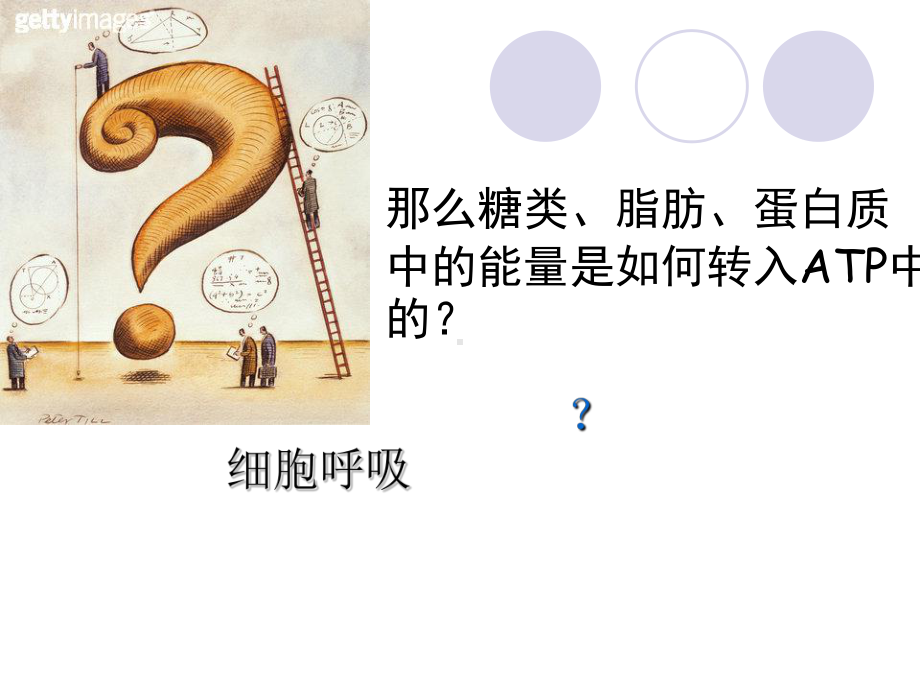 细胞呼吸39-优秀课件.ppt_第3页