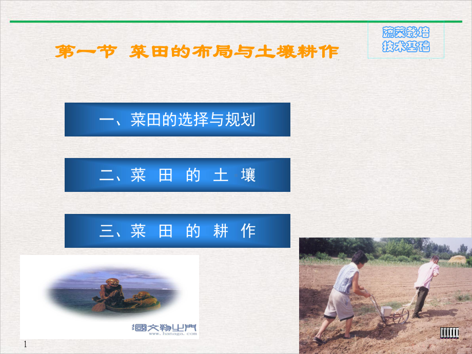 第二章蔬菜栽培的技术基础教学课件.ppt_第3页