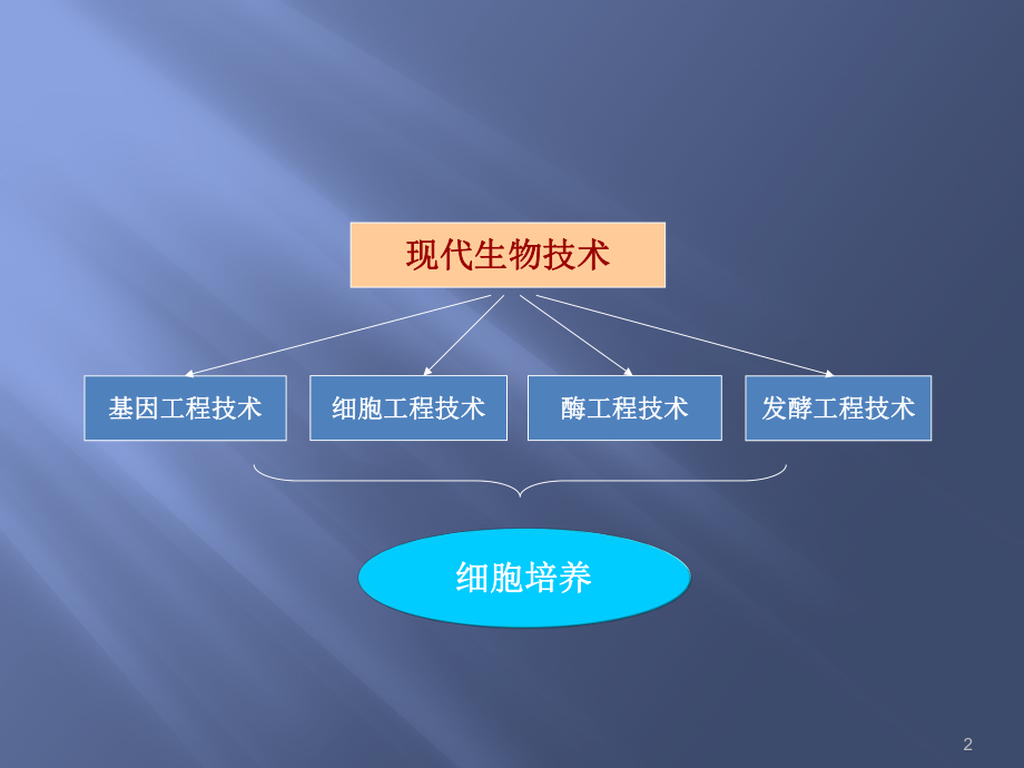 细胞分离与培养技术课件.ppt_第2页