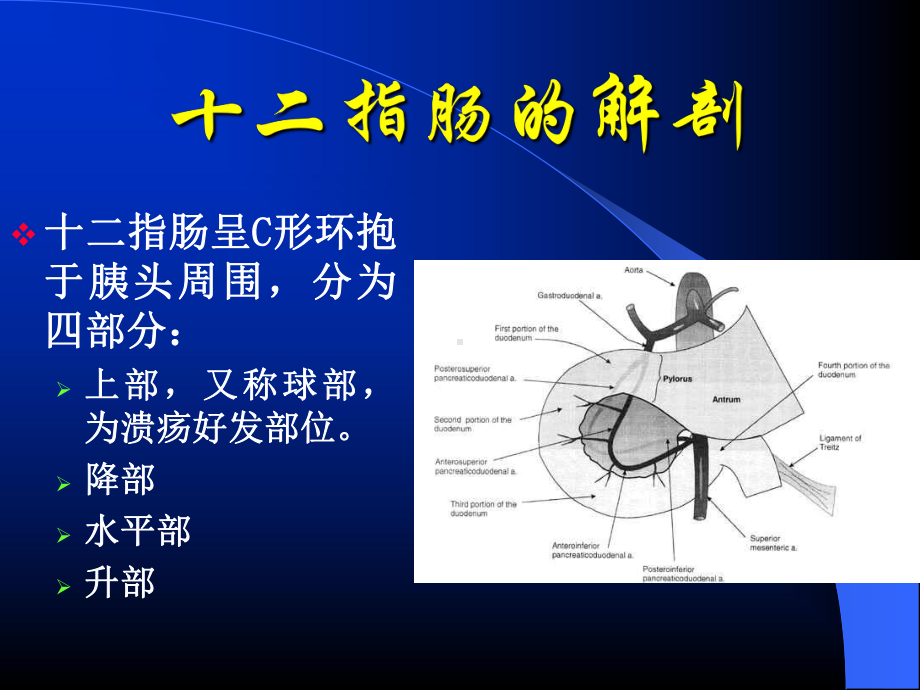 胃癌围手术期的护理医学课件-.ppt_第3页