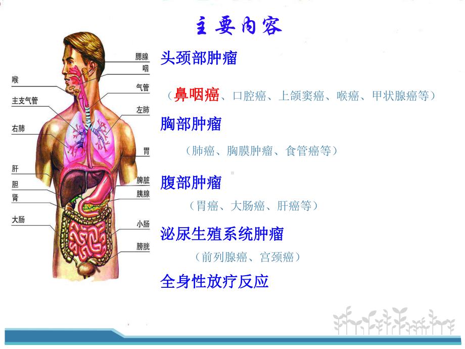 鼻咽癌放疗并发症及护理-课件.ppt_第2页