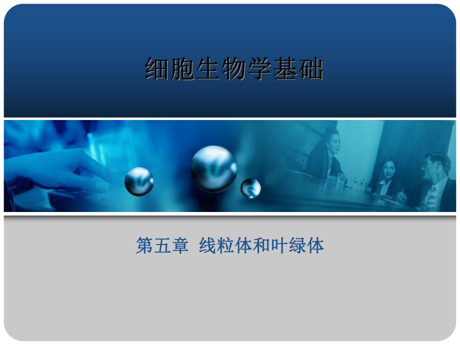 线粒体和叶绿体课件.ppt_第1页