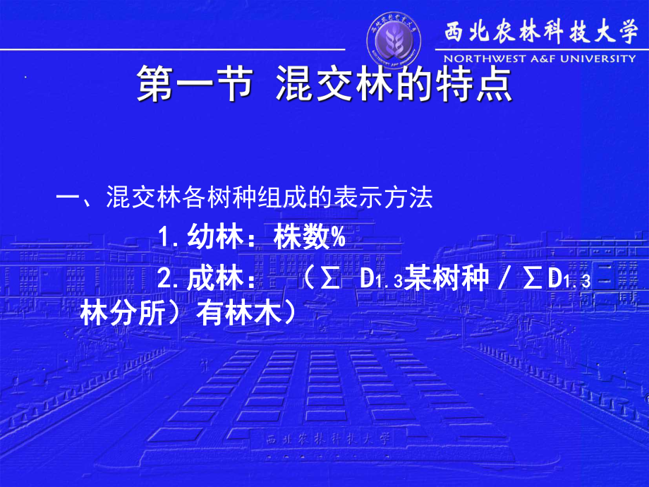 第十九章人工林的组成-资料课件.ppt_第3页