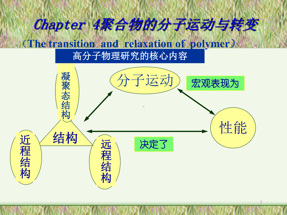 聚合物的转变与松弛课件.ppt_第1页