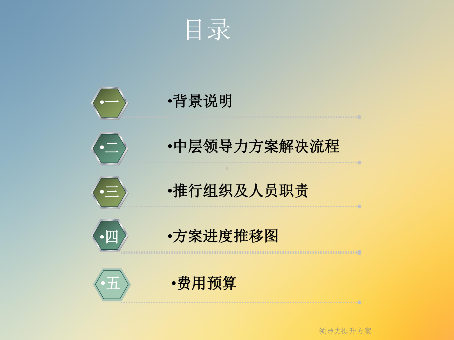 领导力提升方案.ppt_第2页