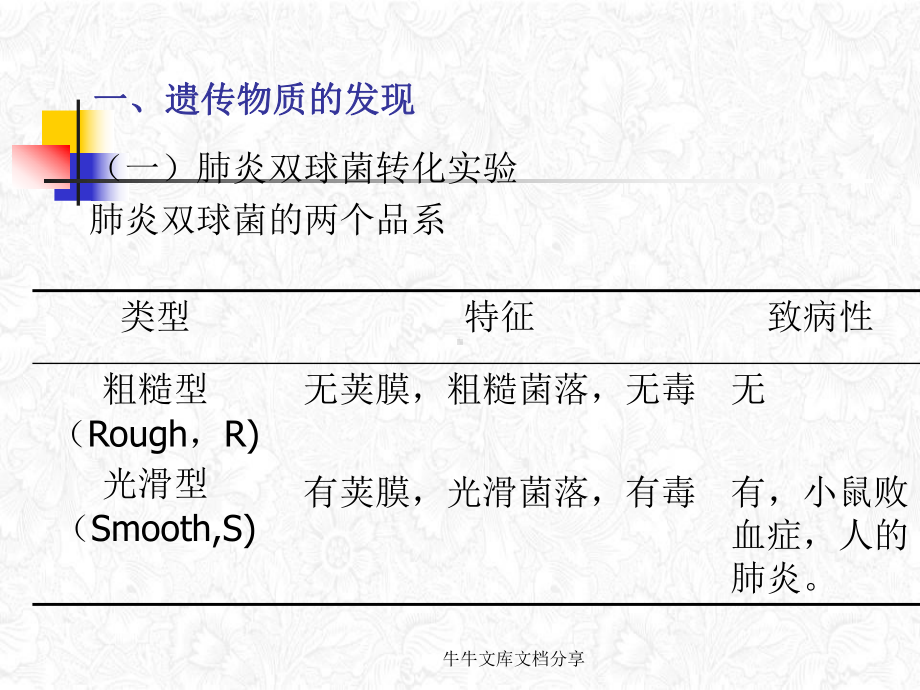 遗传的分子基础模板课件.pptx_第1页