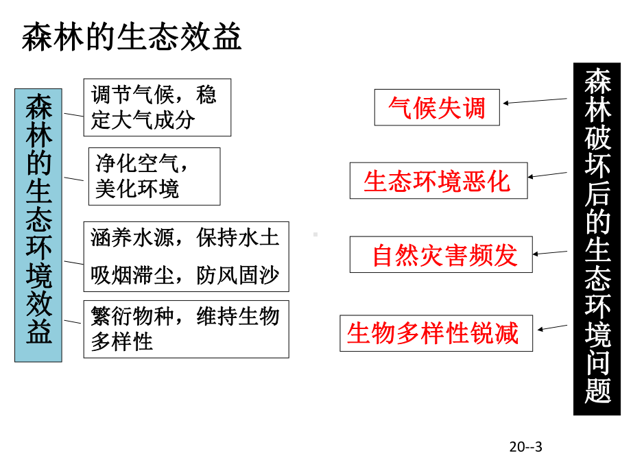 第二节-森林的开发和保护课件1.pptx_第3页