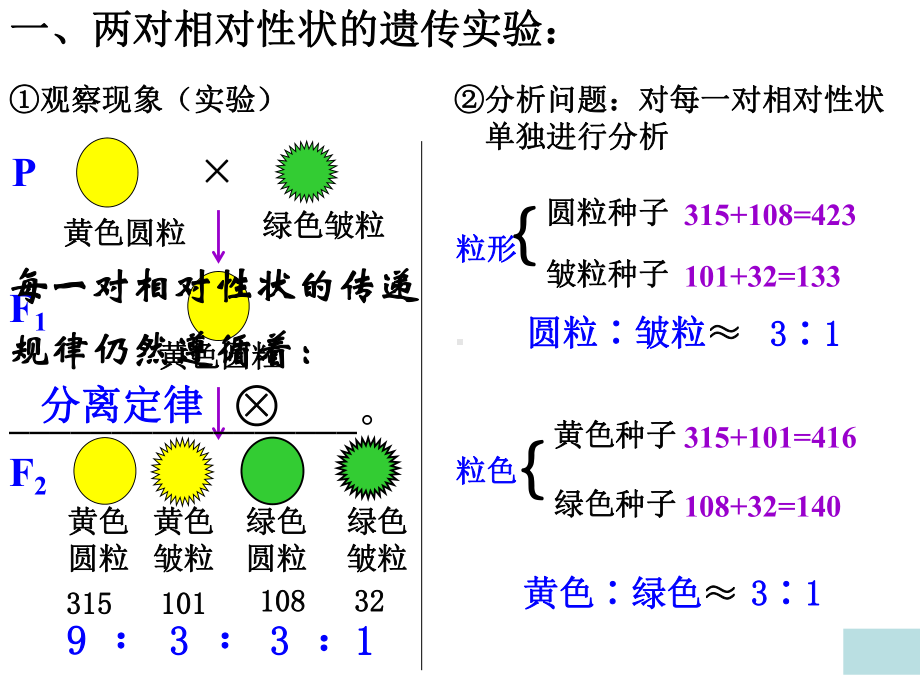 自由组合定律上课课件.ppt_第3页