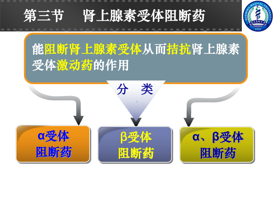 第九章肾上腺素受体阻断药课件.ppt_第2页