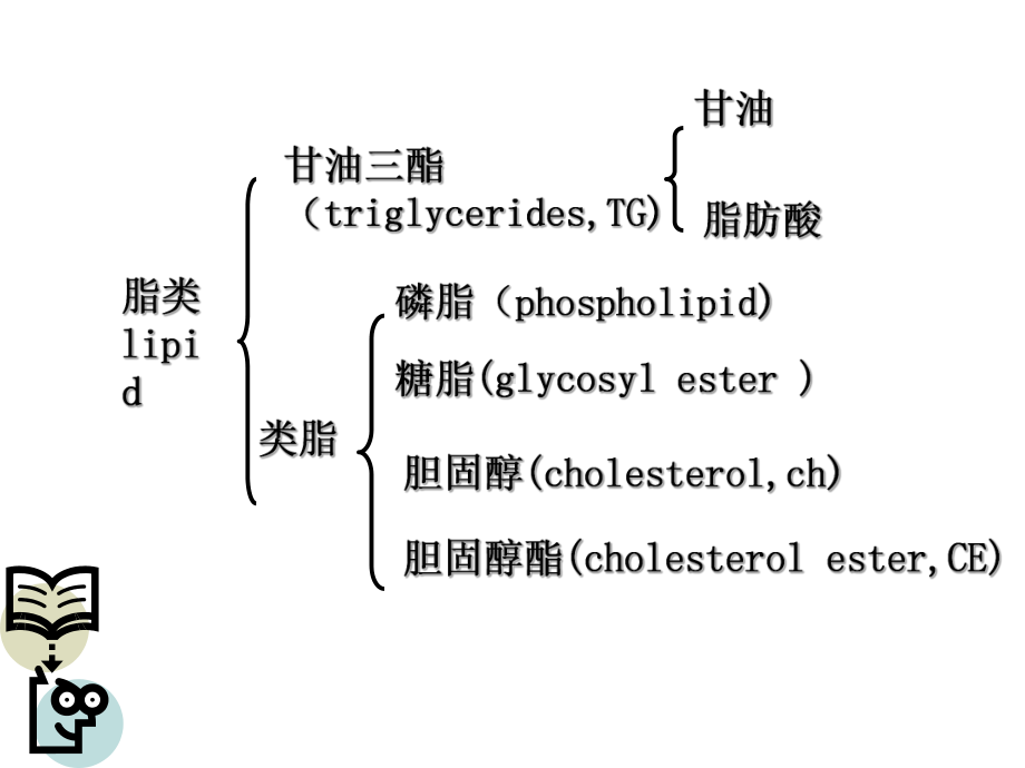 营养与健康2-脂类课件.ppt_第2页