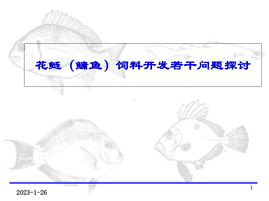 花鲢饲料开发若干问题探讨-课件.ppt_第1页