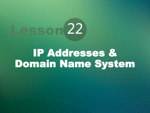 计算机专业英语22-IP-Addresses-&-Domain-Name-System课件.pptx