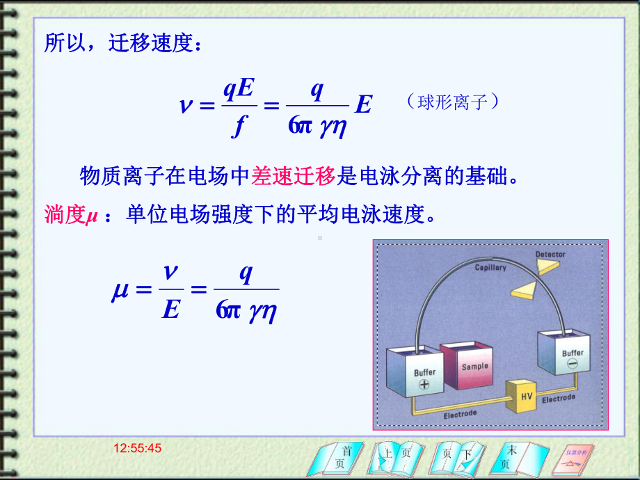 第十一章-高效毛细管电泳分析法课件.ppt_第3页