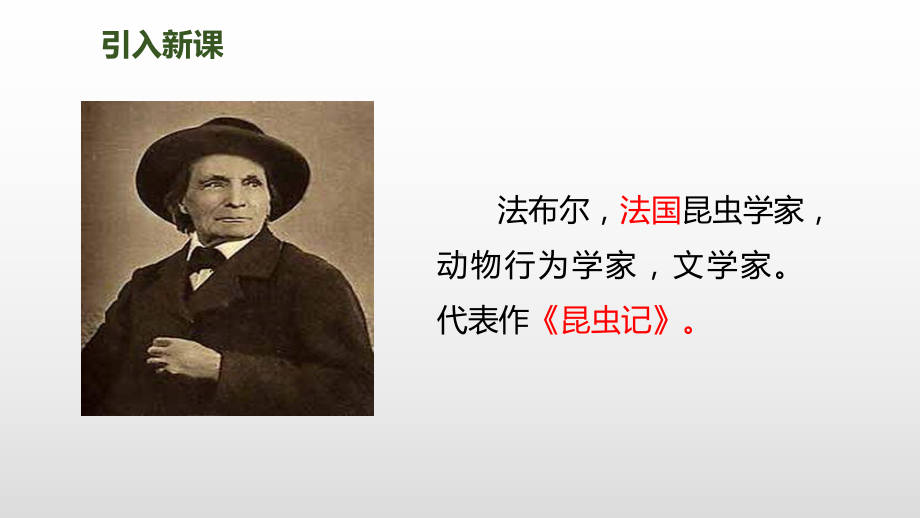 人教部编版四年级《蟋蟀的住宅》课件1.ppt_第3页