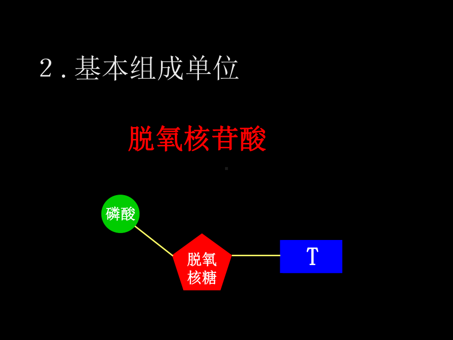 第3节-DNA的复制过程(公开课用)课件.ppt_第3页