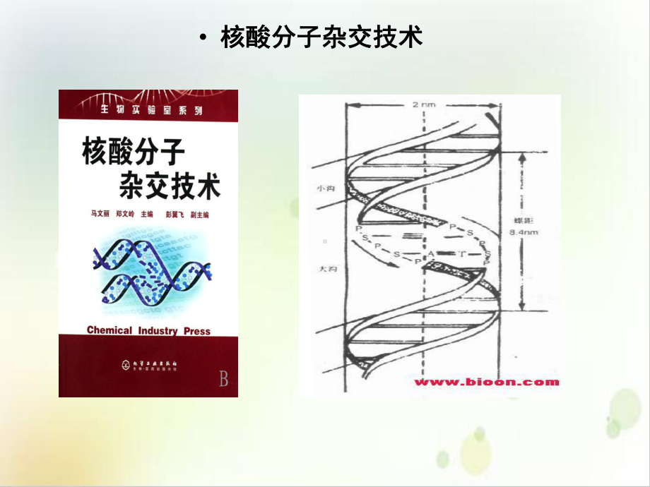 第九讲凝胶电泳技术精选课件.ppt_第3页