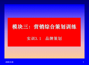 营销综合策划训练实训品牌策划课件.pptx