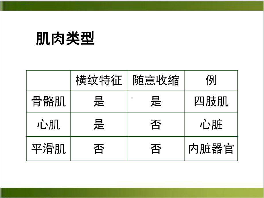 运动学肌肉运动学示范课件.ppt_第3页