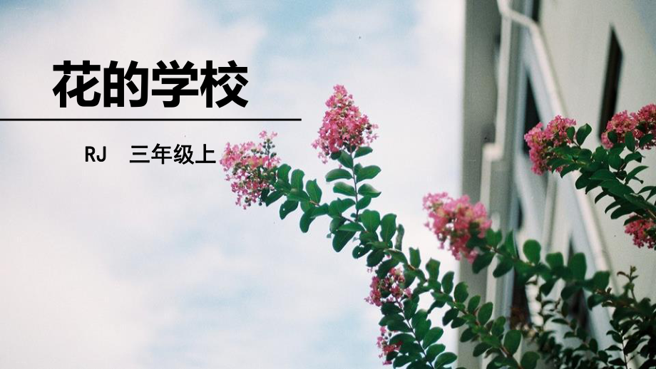 花的学校-课件完美版.pptx_第1页