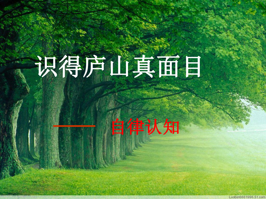 行为自律主题班会（共33张PPT）ppt课件.ppt_第3页