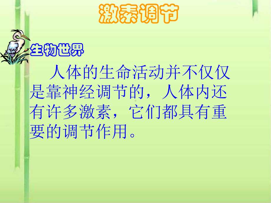 胰岛素与糖尿病课件-课件.ppt_第3页