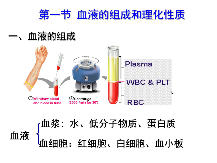 生理学第三章血液课件说课讲解.ppt_第3页