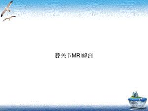 膝关节MRI解剖示范课件.ppt