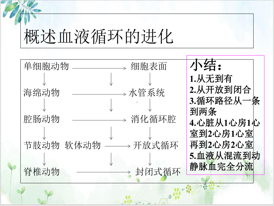 第六章循环系统的结构和功能参考课件.ppt_第3页