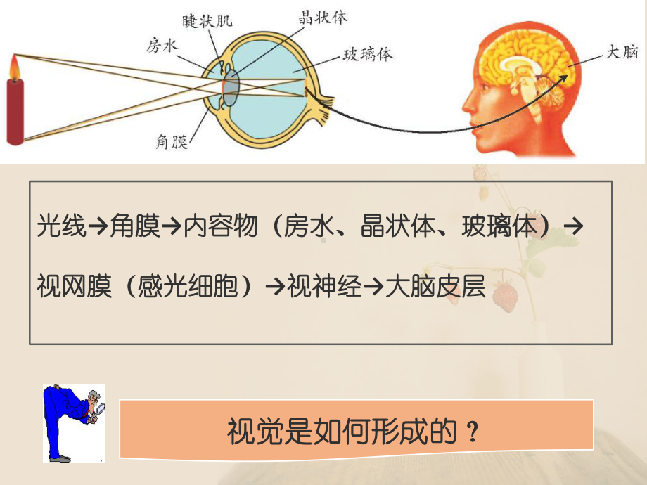 视错觉教学讲解课件.ppt_第1页