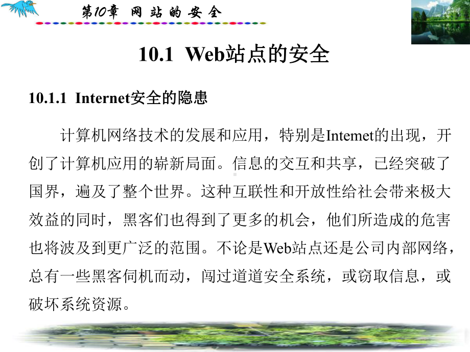 第10章网站安全课件.ppt_第2页