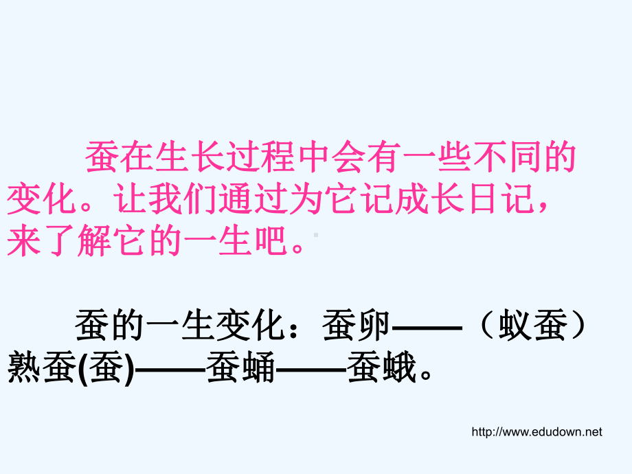 给蚕宝宝记日记课件.ppt_第2页