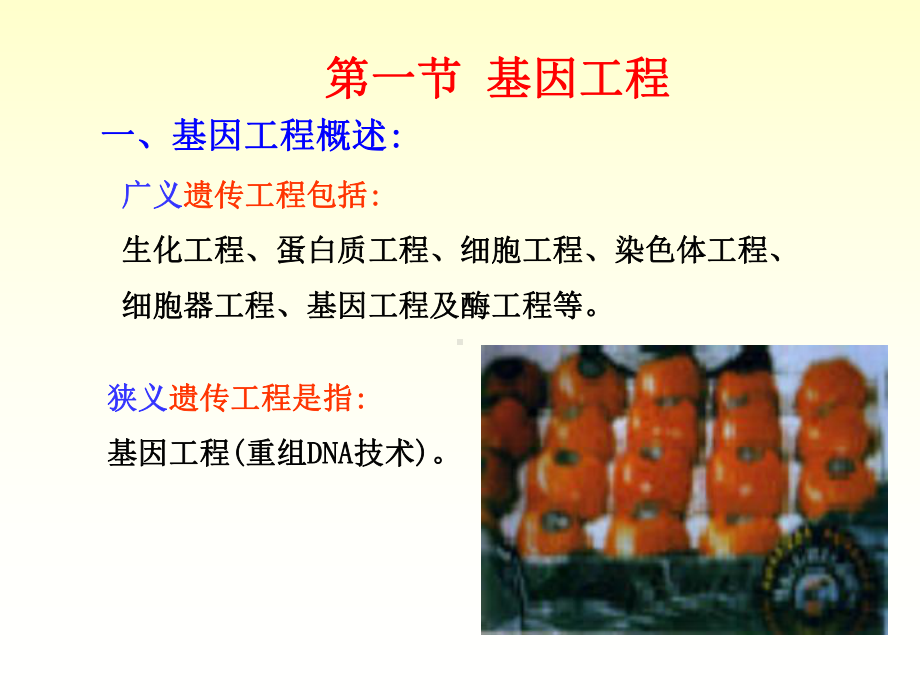 第九章基因工程和基因组学课件.ppt_第2页