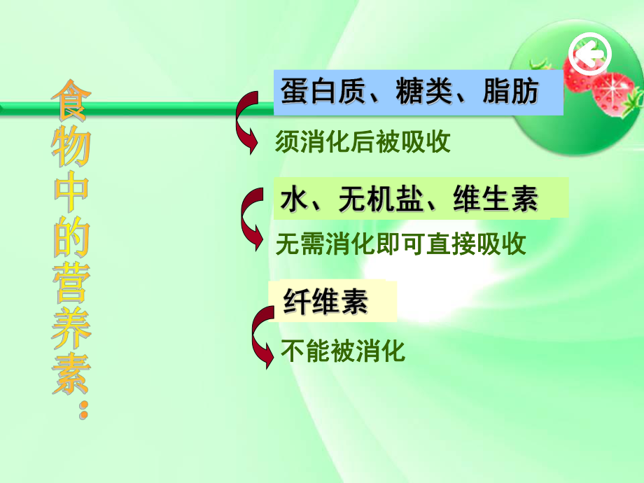 第二节食物的消化课件.ppt_第3页