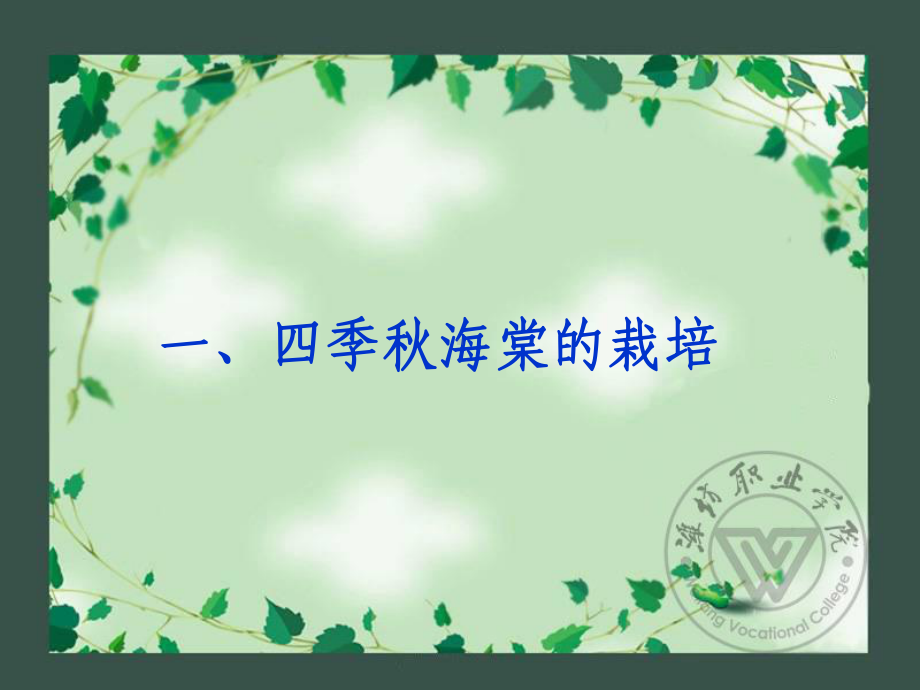 观花花卉栽培观叶花卉栽培课件.ppt_第3页