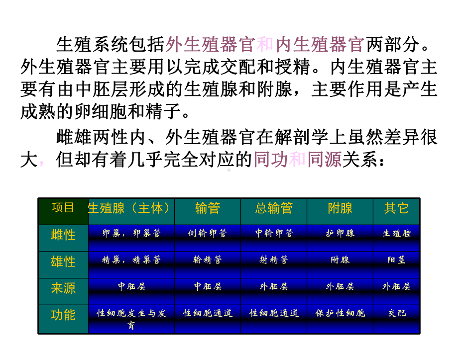 第八章—昆虫的生殖系统资料课件.ppt_第3页