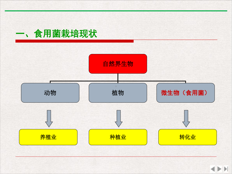 食用菌现状及标准化栽培技术课件.pptx_第3页