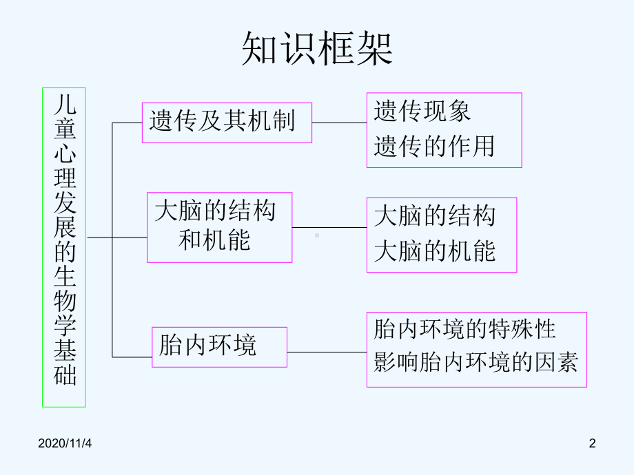 第二章-儿童心理发展的生物学基础课件.ppt_第2页