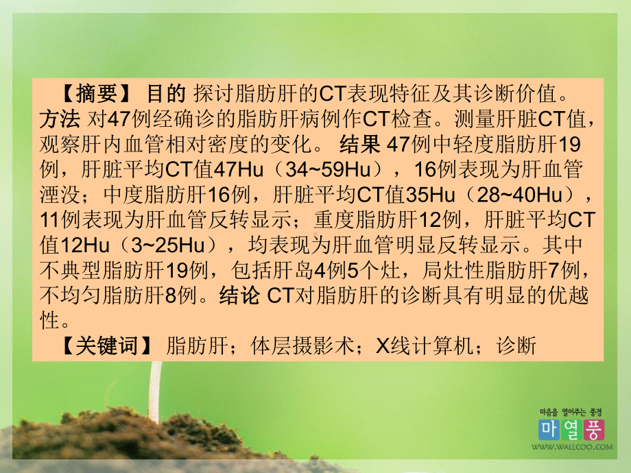 脂肪肝的诊断课件.ppt_第2页