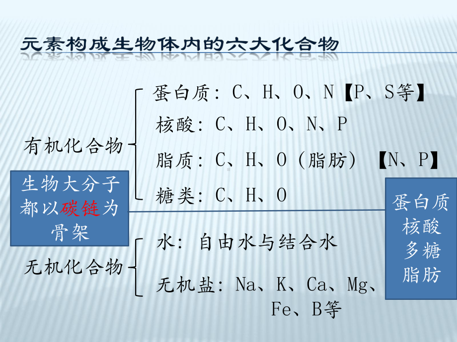 生物必修一期中复习资料教程课件.pptx_第3页