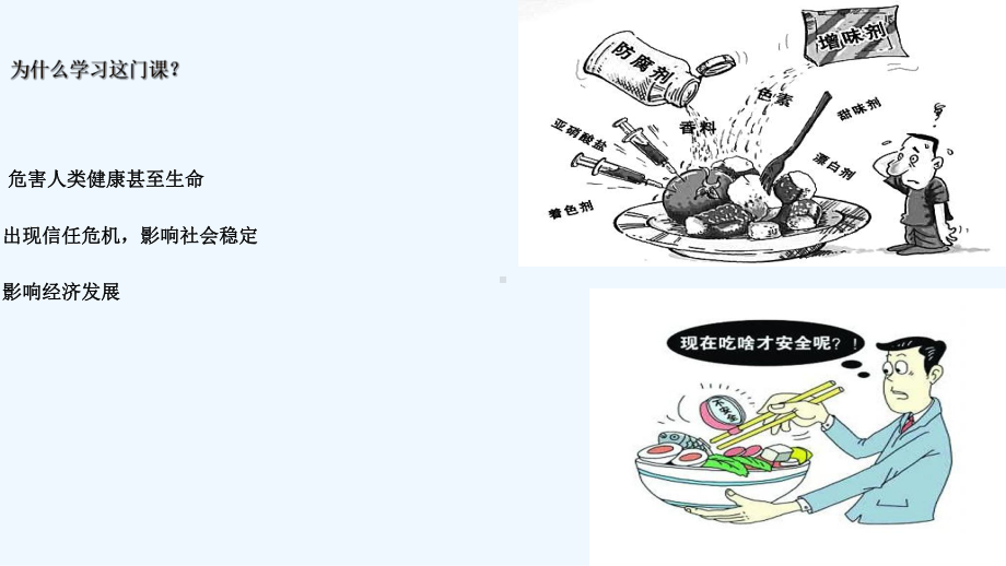 食品法规与标准基础知识课件.ppt_第3页