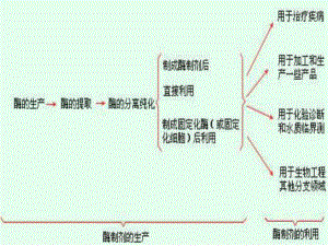 酶细胞、原生质体固定化课件.ppt